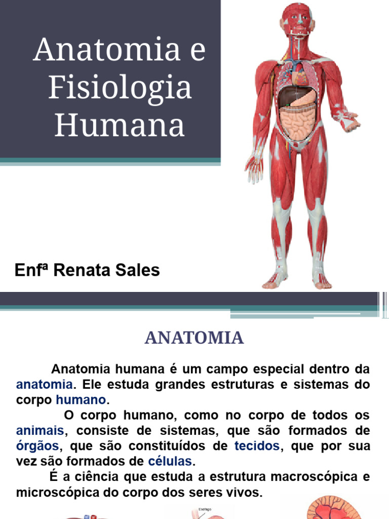 Anatomy visual data 6