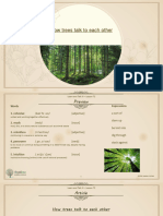 How Trees Talk To Each Other