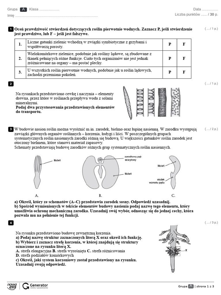 Biologia Na Czasie Poziom Rozszerzony Test R3. Roznorodnosc Roslin w2 Test Z Widoczna Punktacja 2 | PDF