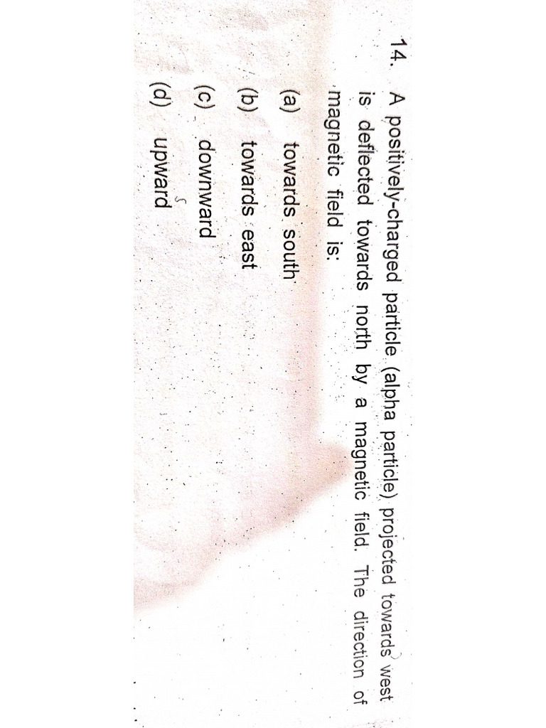 Practice Questions PDF