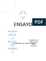 Ensayo. Pedagogía