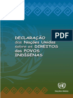 declaração povos indigenas