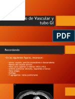 Tubo Digestivo y Vascular