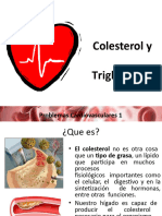 Colesterolytriglicridos 110215101526 Phpapp01