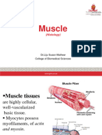 Muscle BMS