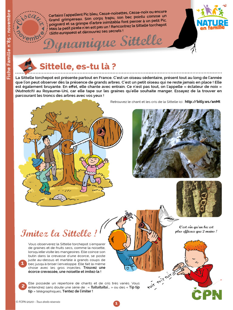 Sittelle torchepot chant et nichoirs PDF Oiseaux d'Eurasie — free download