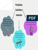 Metabolismo, Catabolismo y Anabolismo 20231113 122855 0000