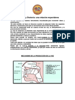 Locución Radial Curso de Verano