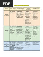 Poesia Trovadoresca - Síntese