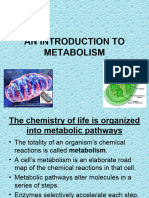 Chap6AN INTRODUCTION TO METABOLISM