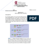 INFORME 3 Tipificacion Sanguinea