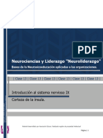 Apunte D - Introduccion Al Sistema Nervioso IX - Insula