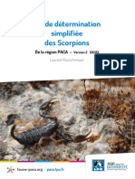 Cldedterminationsimplifiedesscorpions V2