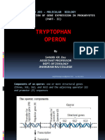 Try Operon 2