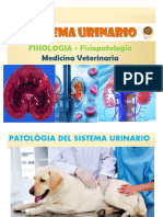 Patologia Renal - 230415 - 080227
