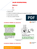 Sso Modulo 07 Modelo de Causalidad de Pérdidas Material Comun