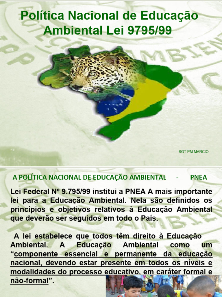 Política Nacional de Educação Ambiental | PDF | Desenvolvimento ...