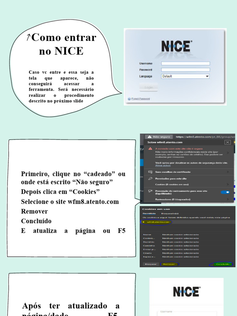 Como Resolver o NICE | PDF