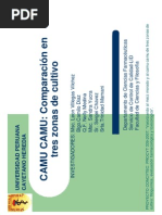 Investigaci¢n de camu camu - UPCH