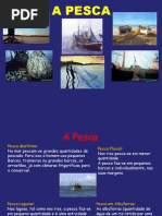 Pesca