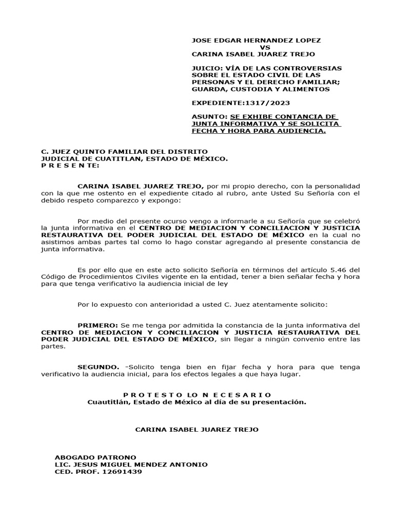 Solicitud de Audiencia y Constancia Judicial | PDF