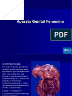Sem 12 PDF Pato pt1