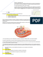 Seguimiento Metabolismo