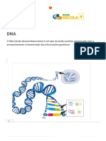 DNA - Resumo, Função, Estrutura, Composição, DNA X RNA