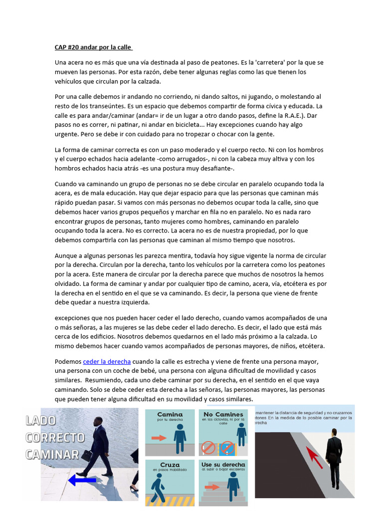 Andar Por La Calle Cap 20 Pdf La Carretera Peatonal