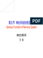 Sensory Function of Nervous System - Wan