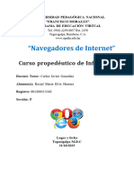 Navegadores de Internet, Rosiel Elvir