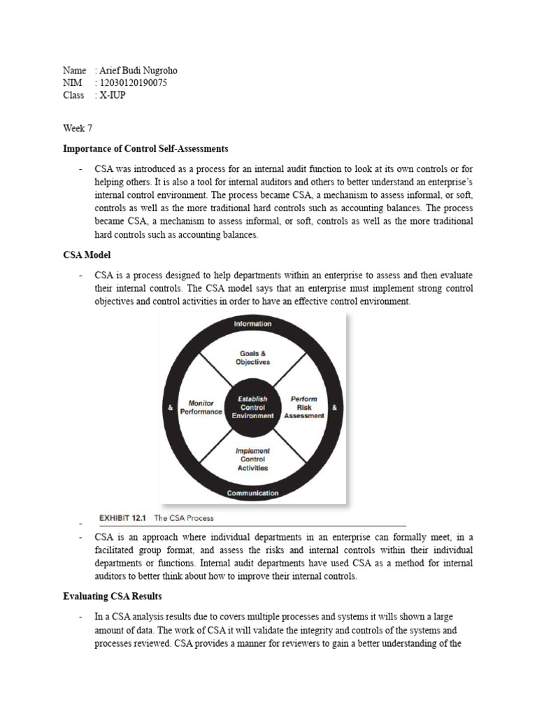 Ai X S7 G5 Arief Budi Nugroho Pdf Internal Audit Audit