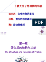 2 蛋白质的结构与功能 njh PDF（2017下）