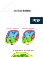 Molares S 10 Estudiar