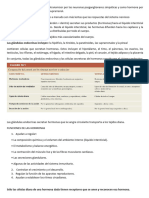 Sistema Endocrino Generalidades