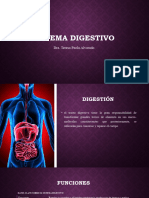 Anatomia Sistema Digestivo 2023