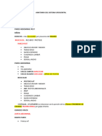 Anatomia Del Sistema Urogenital