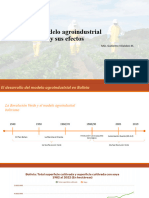 Modelo Agroindustrial y Sus Efectos