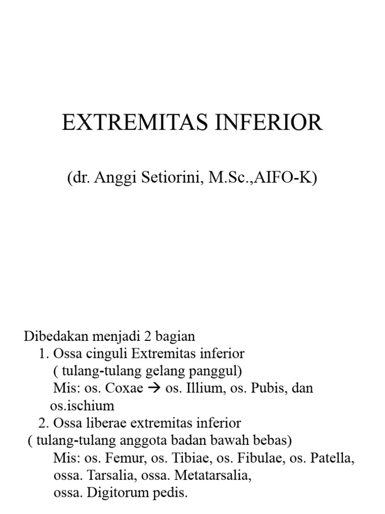 Anatomi Extremitas Inferior Manusia | PDF