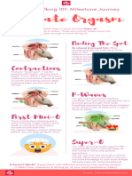 Prostate Orgasm Milestone Journey Infographic