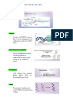 DNA Replication Transcription and Translation TRANSES 1