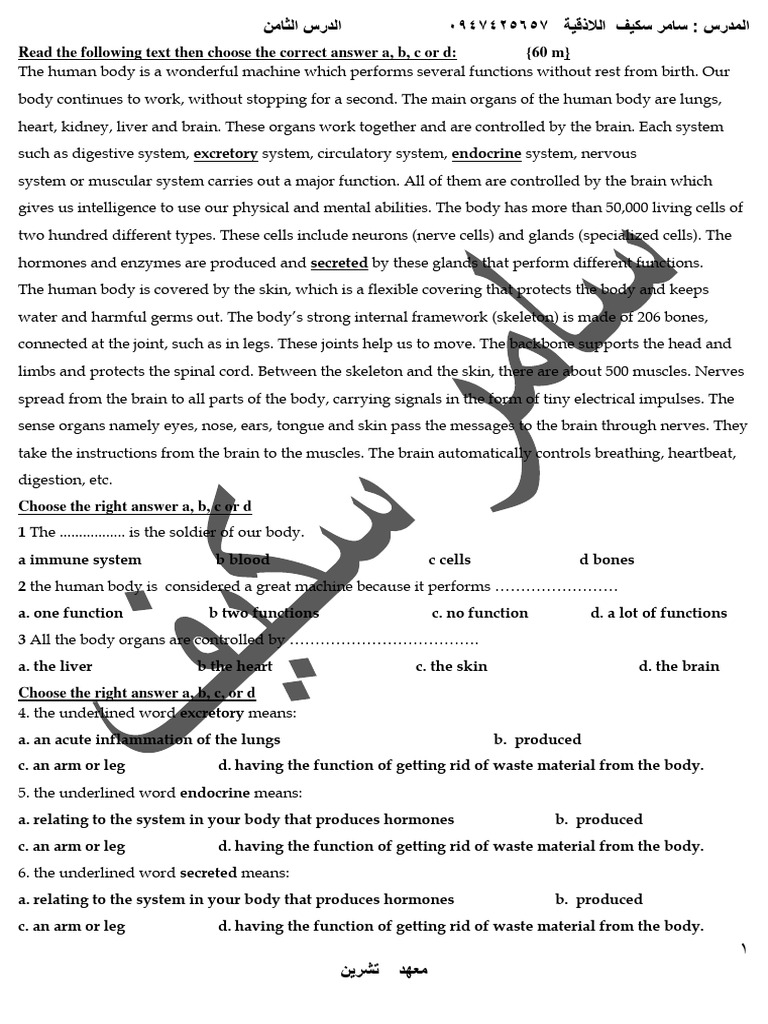 Human Body Functions and Immune System Quiz | PDF | Human Body | Immune ...