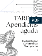 Apendicitis Aguda ERCM
