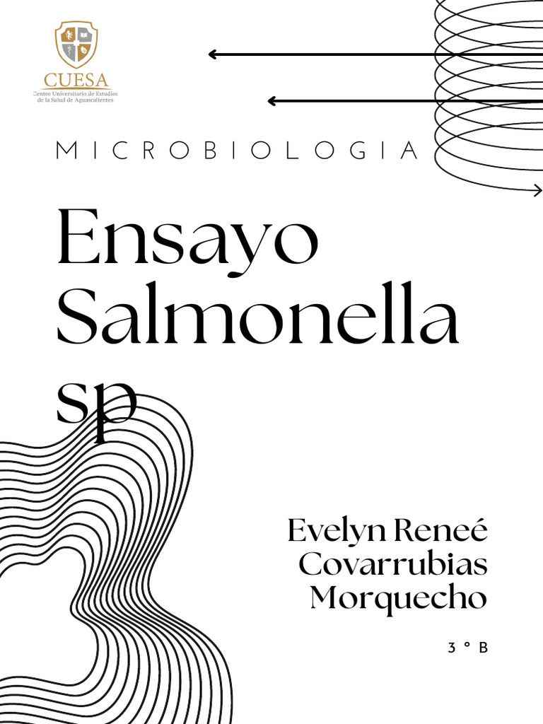 Ensayo SALMONELLA PDF Salmonela Especialidades Medicas