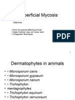 Superficisl Mycology