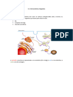 Via Secretória e Organelos