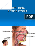 Citología Del Aparato Respiratorio