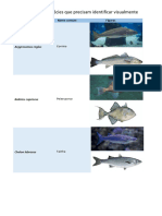 Ictiologia (Espécies de Peixes A Saber Identificar Visualmente)