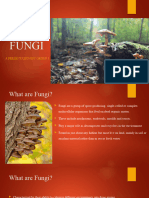 Group 3-Fungi Presentation
