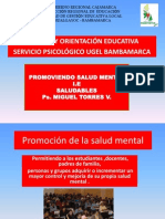 Servicio Psicológico  UGEL Hualgayoc  Bambamarca  Promoción de la salud mental